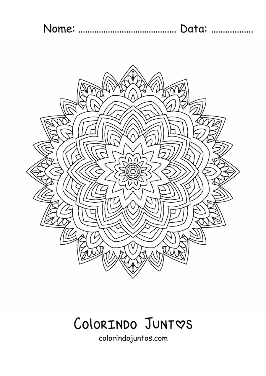 Desenho para colorir de mandala indiana estilo Zentangle