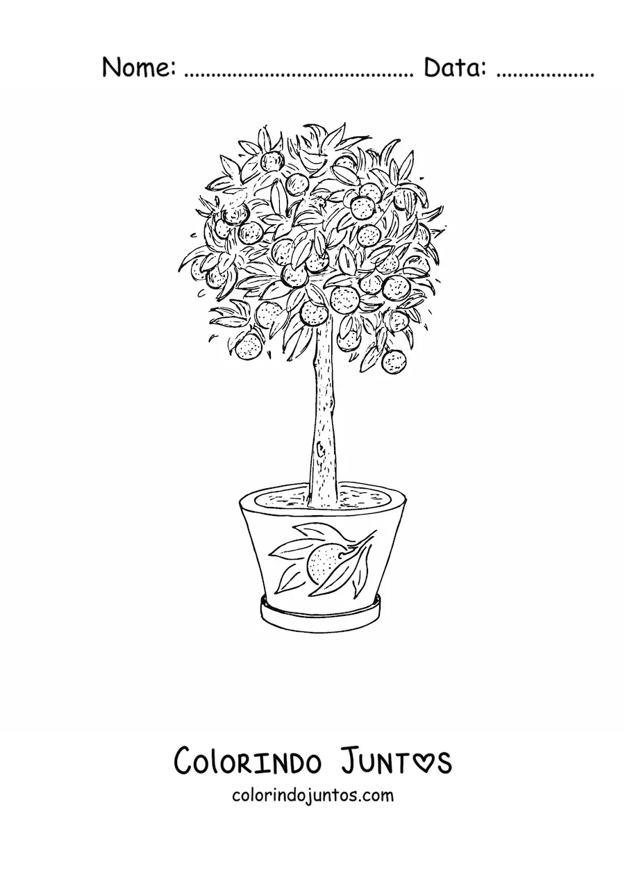 Desenho para colorir de um limoeiro em um vaso