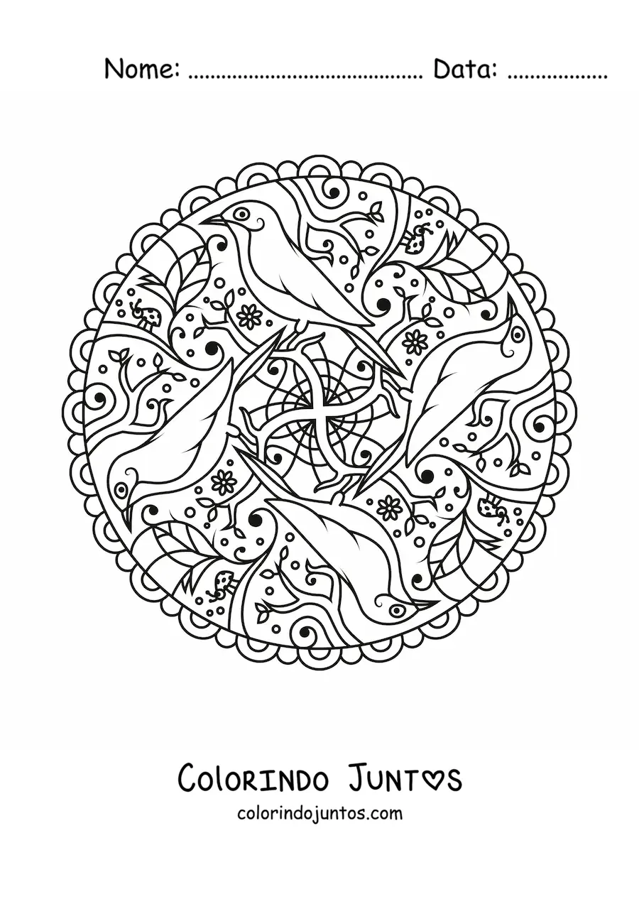 Desenho para colorir de mandala de aves