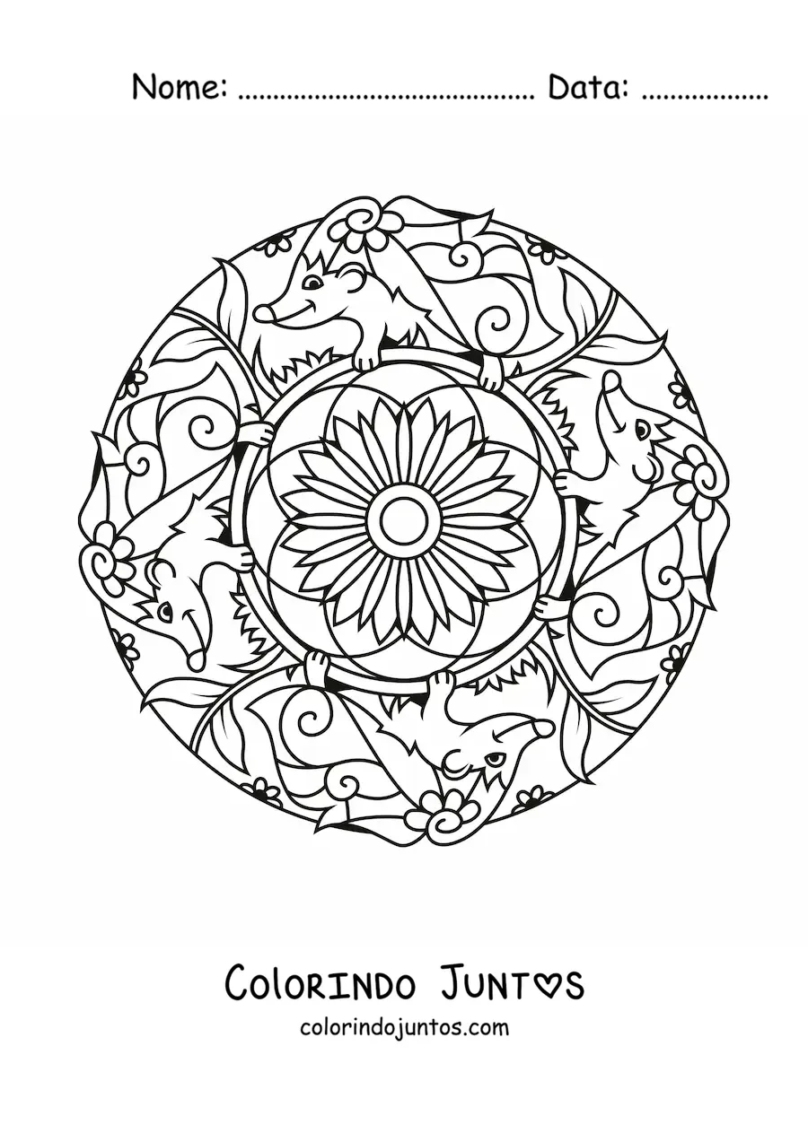 Desenho para colorir de mandala de porcos-espinhos