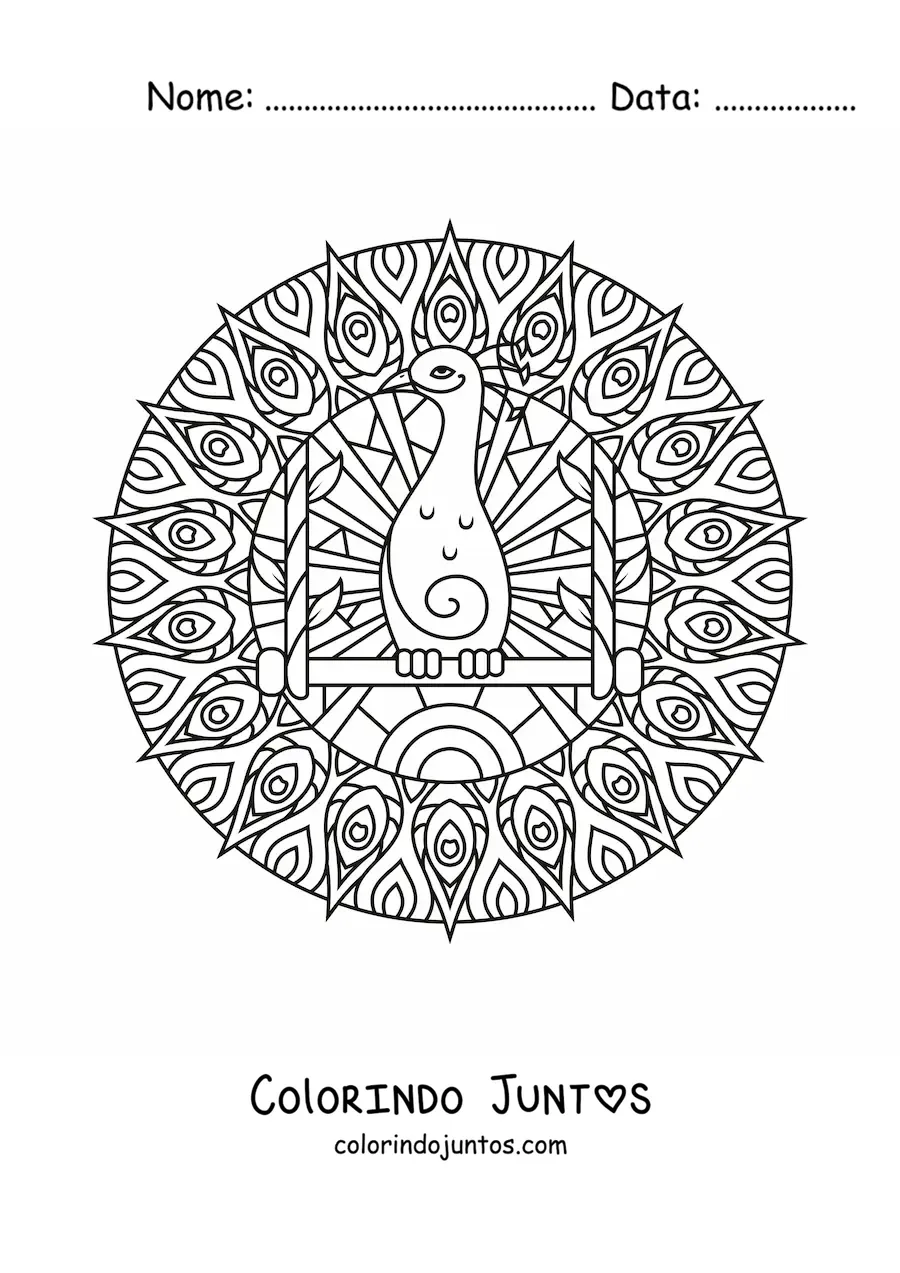 Desenho para colorir de mandala de pavão