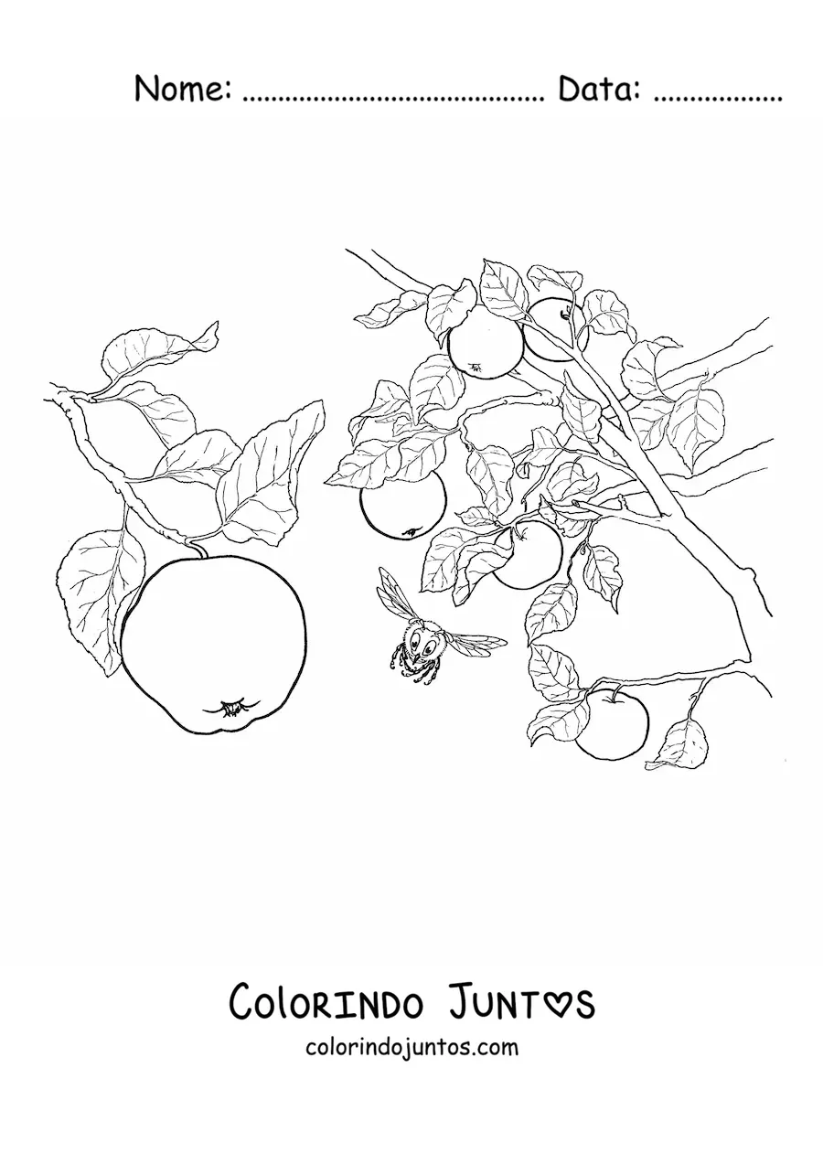 Desenho para colorir de uma macieira com maçãs e abelhas voando