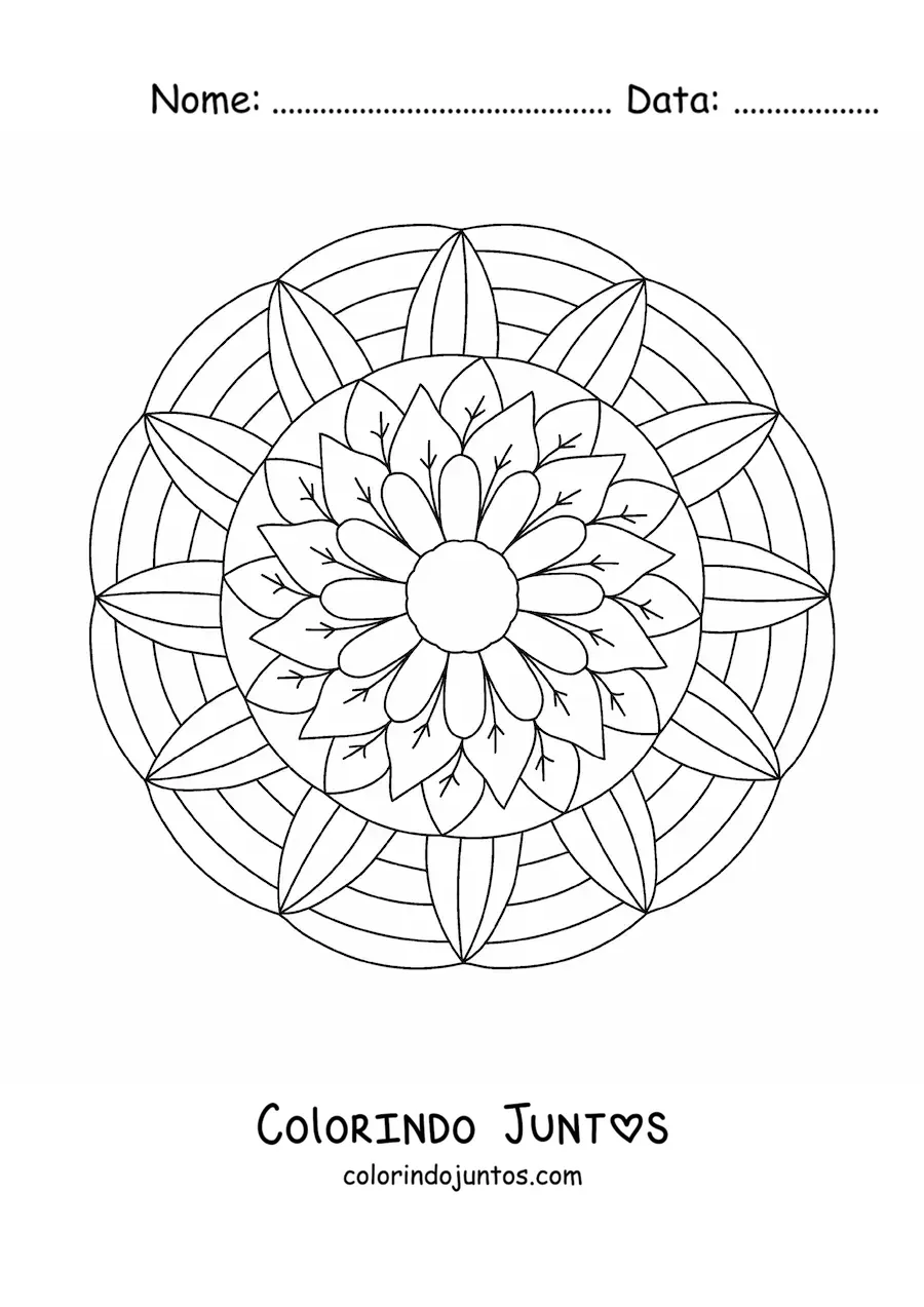 Desenho para colorir de mandala de flores e folhas