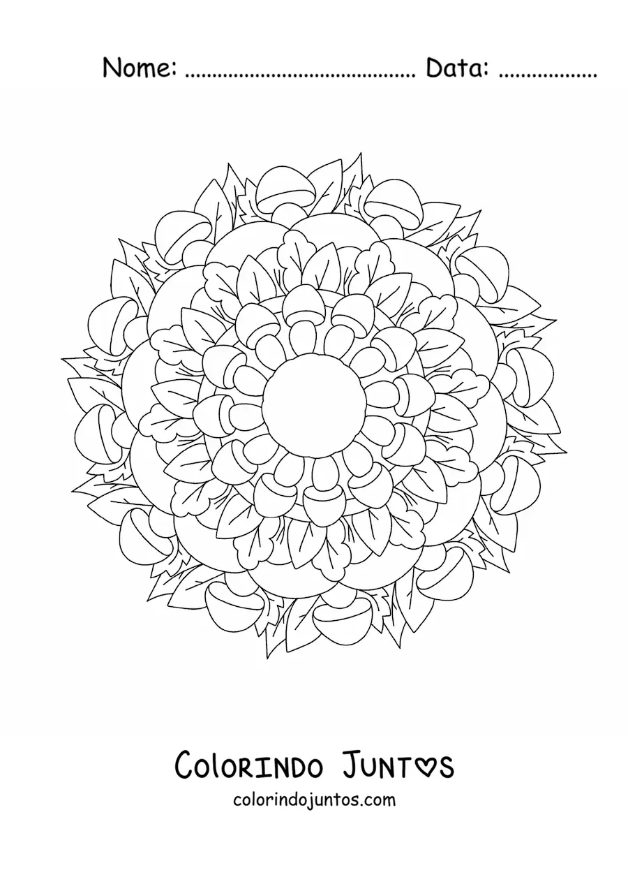 Desenho para colorir de mandala de flores e folhas