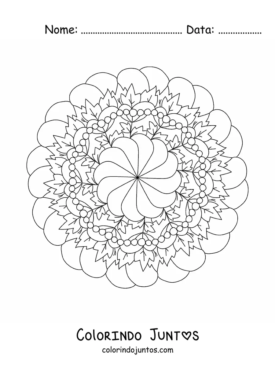 Desenho para colorir de mandala de flores e folhas