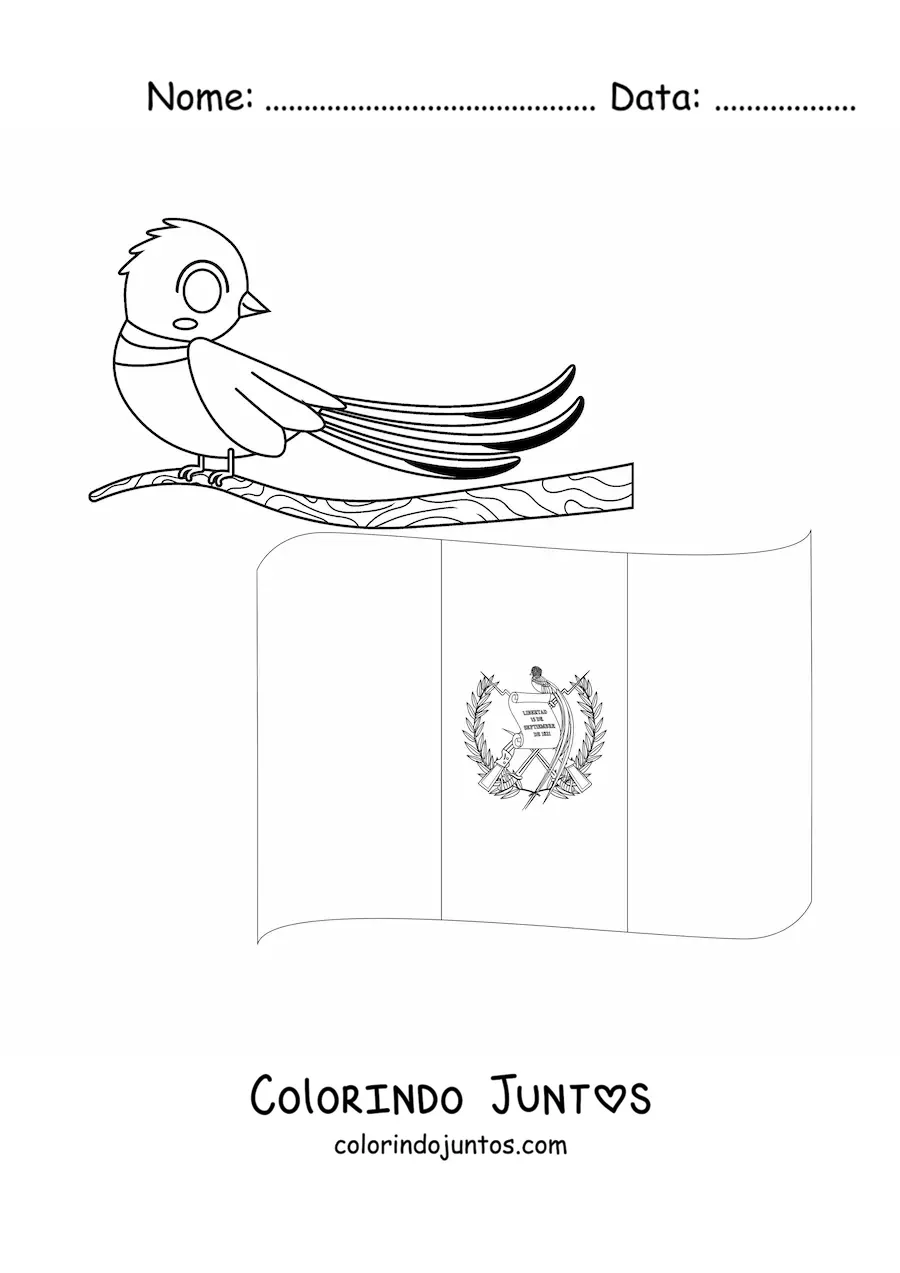 Desenho para colorir da bandeira da Guatemala com a ave nacional