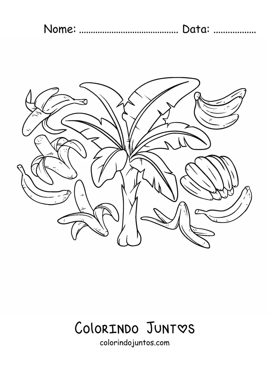 Desenho para colorir de várias bananas e uma bananeira