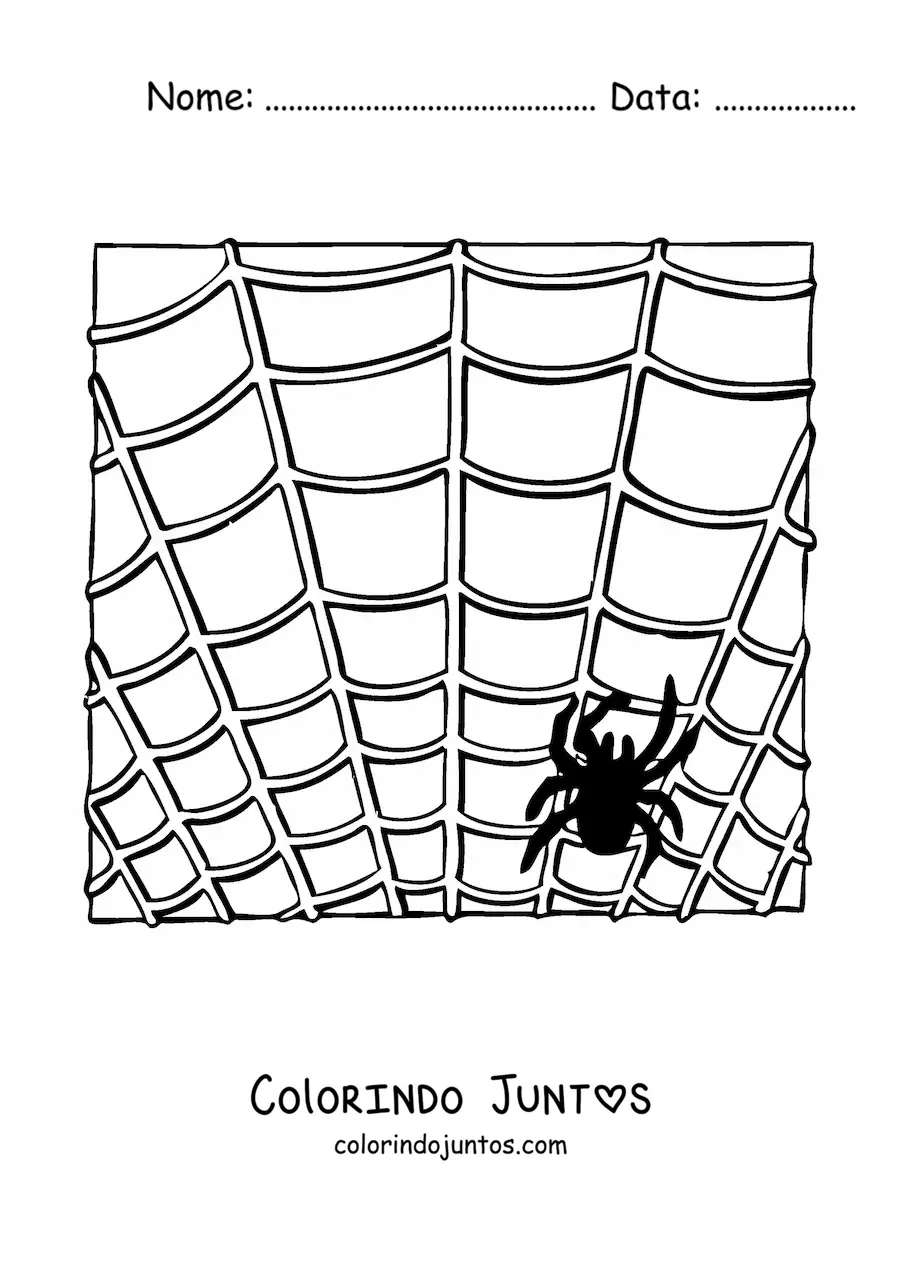 Desenho para colorir de aranha de Halloween em sua teia