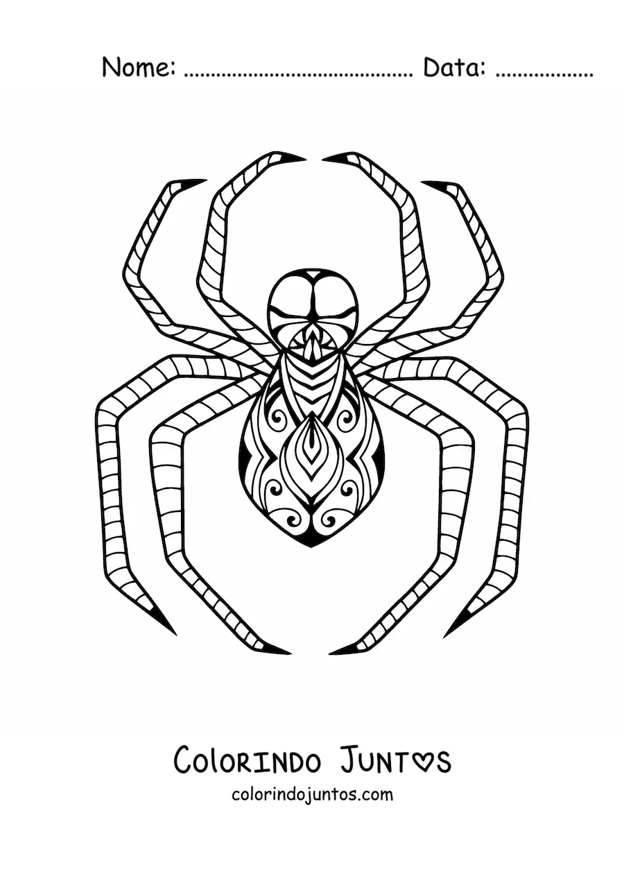 Desenho para colorir de aranha de Halloween estilo zentangle