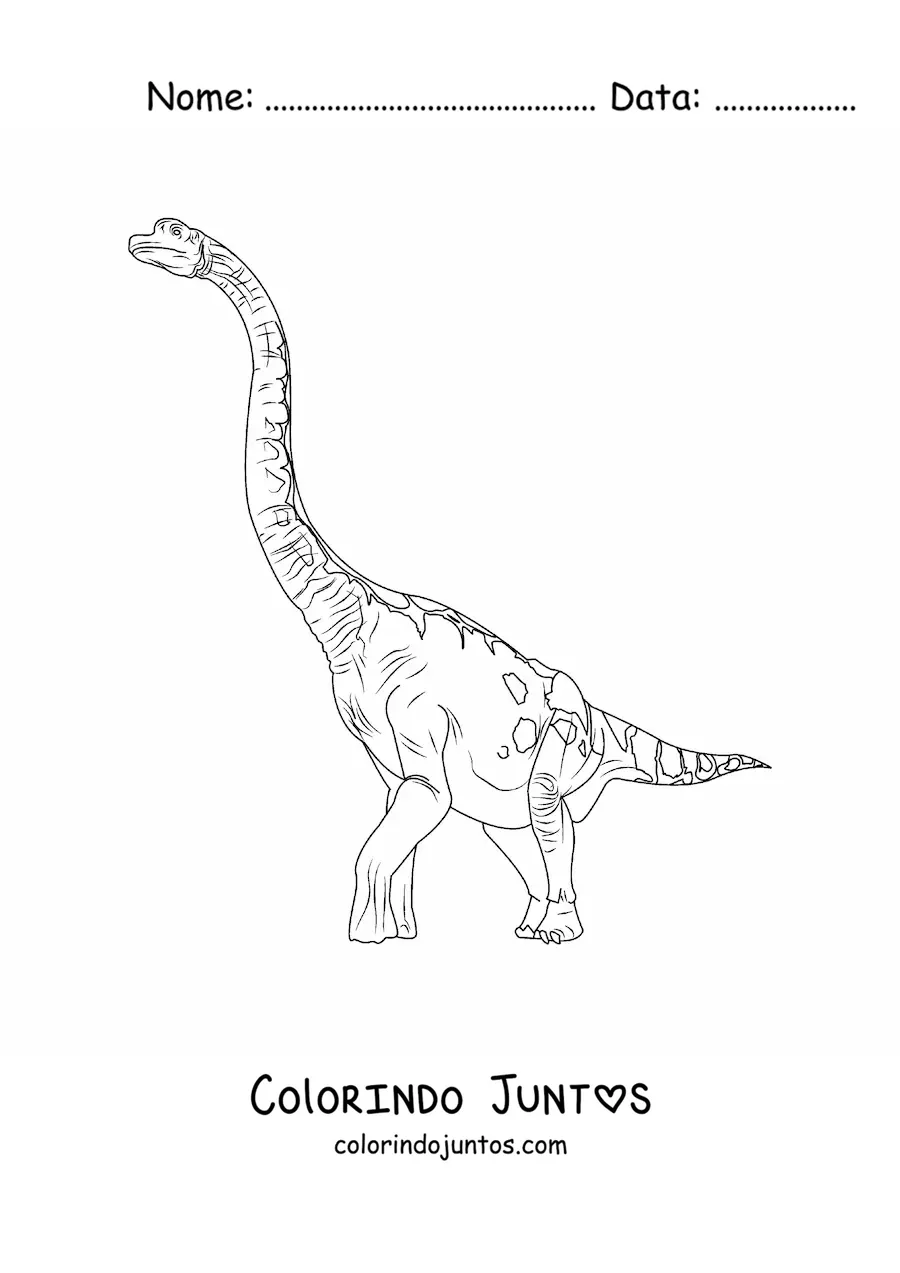 Desenho para colorir de brachiosaurus herbívoro gigante