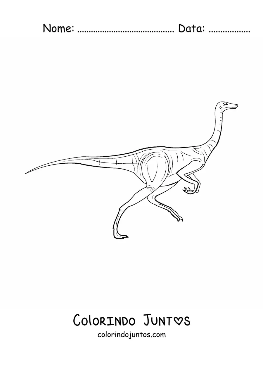 Desenho para colorir de dinossauro herbívoro correndo