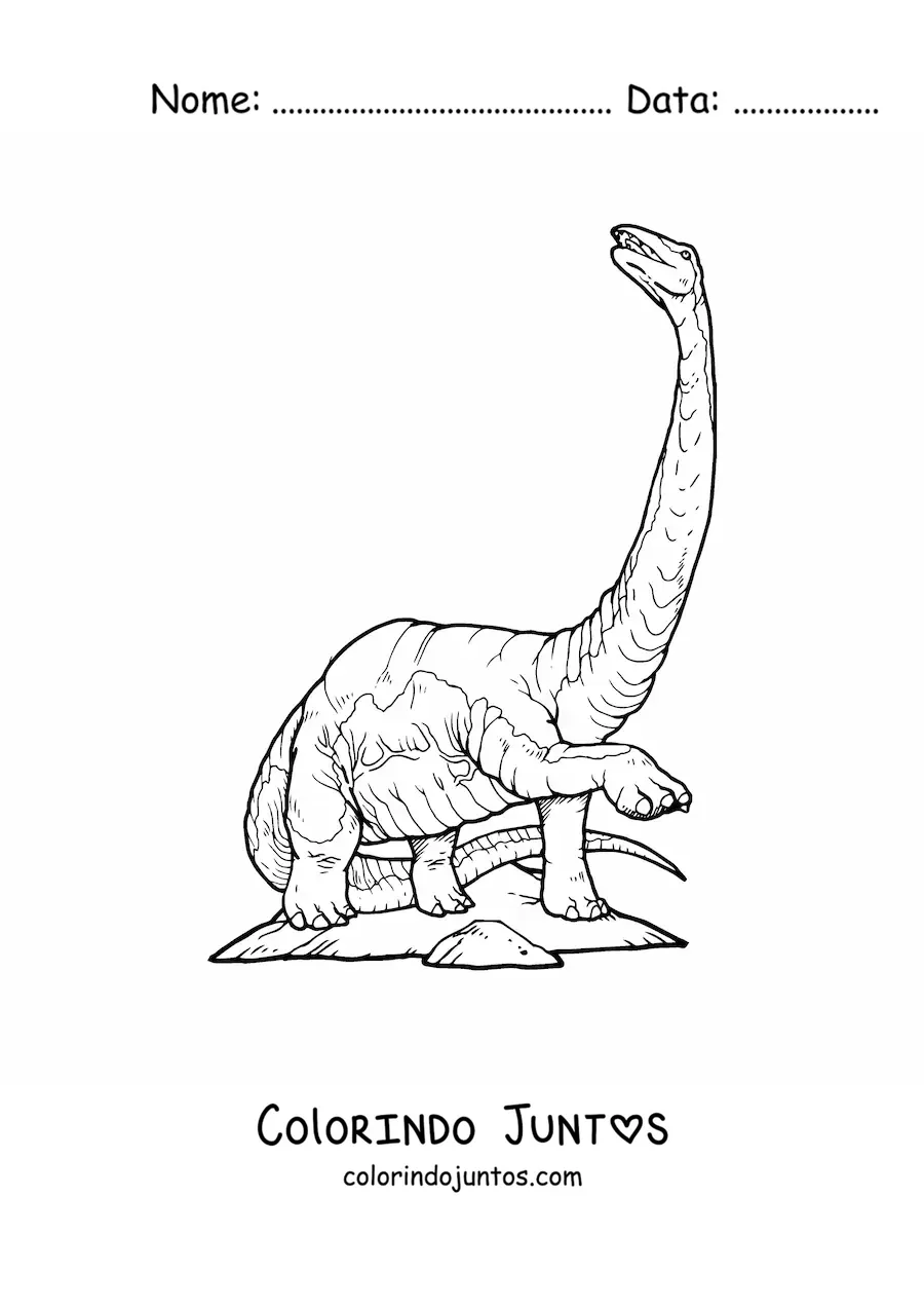 Desenho para colorir de dinossauro de pescoço comprido e cauda comprida realista