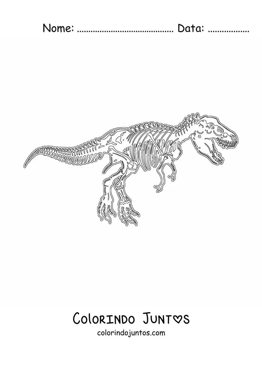 Desenho para colorir de esqueleto de um tiranossauro rex