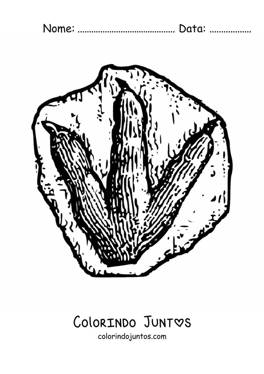 Desenho para colorir de pegada de um dinossauro