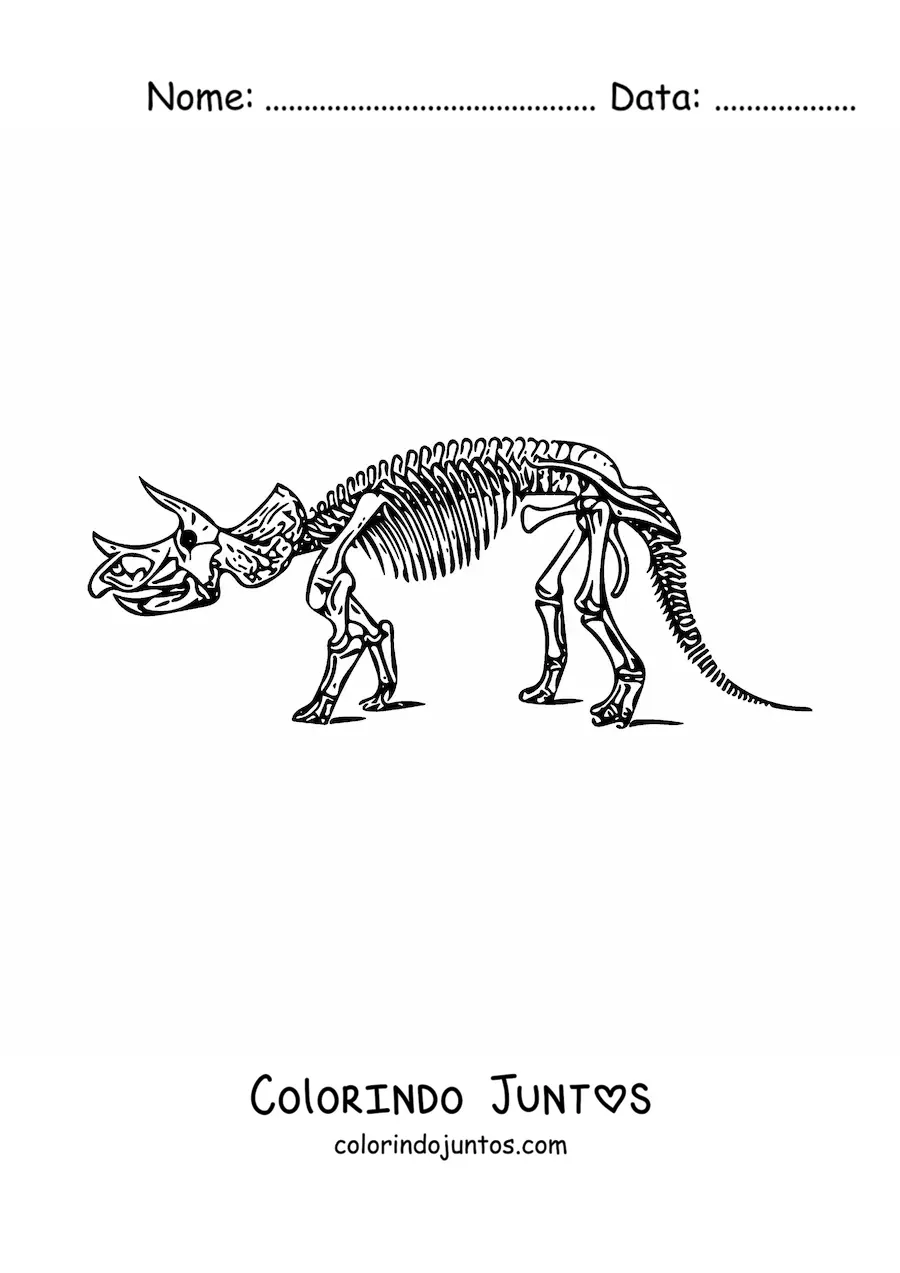 Desenho para colorir de esqueleto de um tricerátops