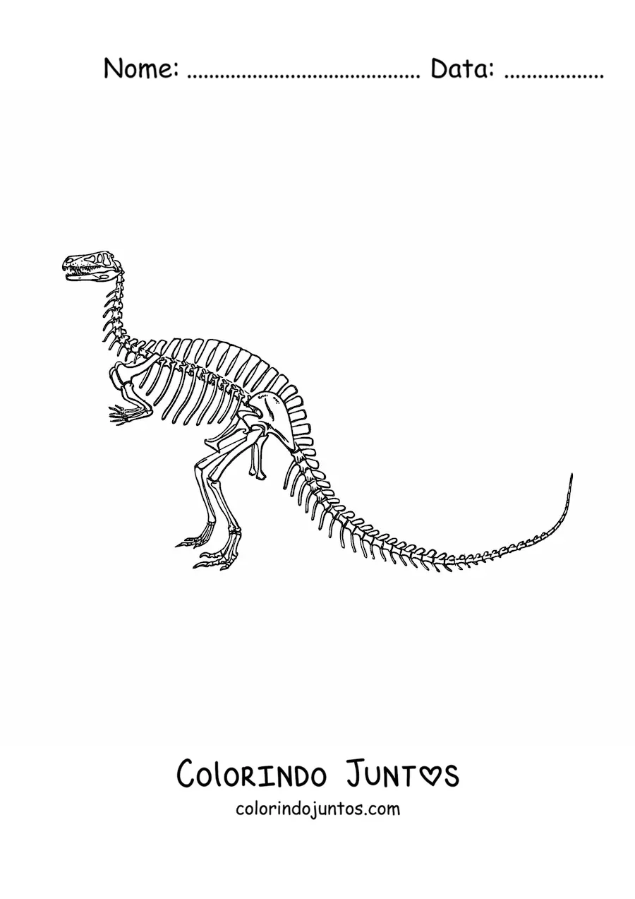 Desenho para colorir de esqueleto de um dinossauro