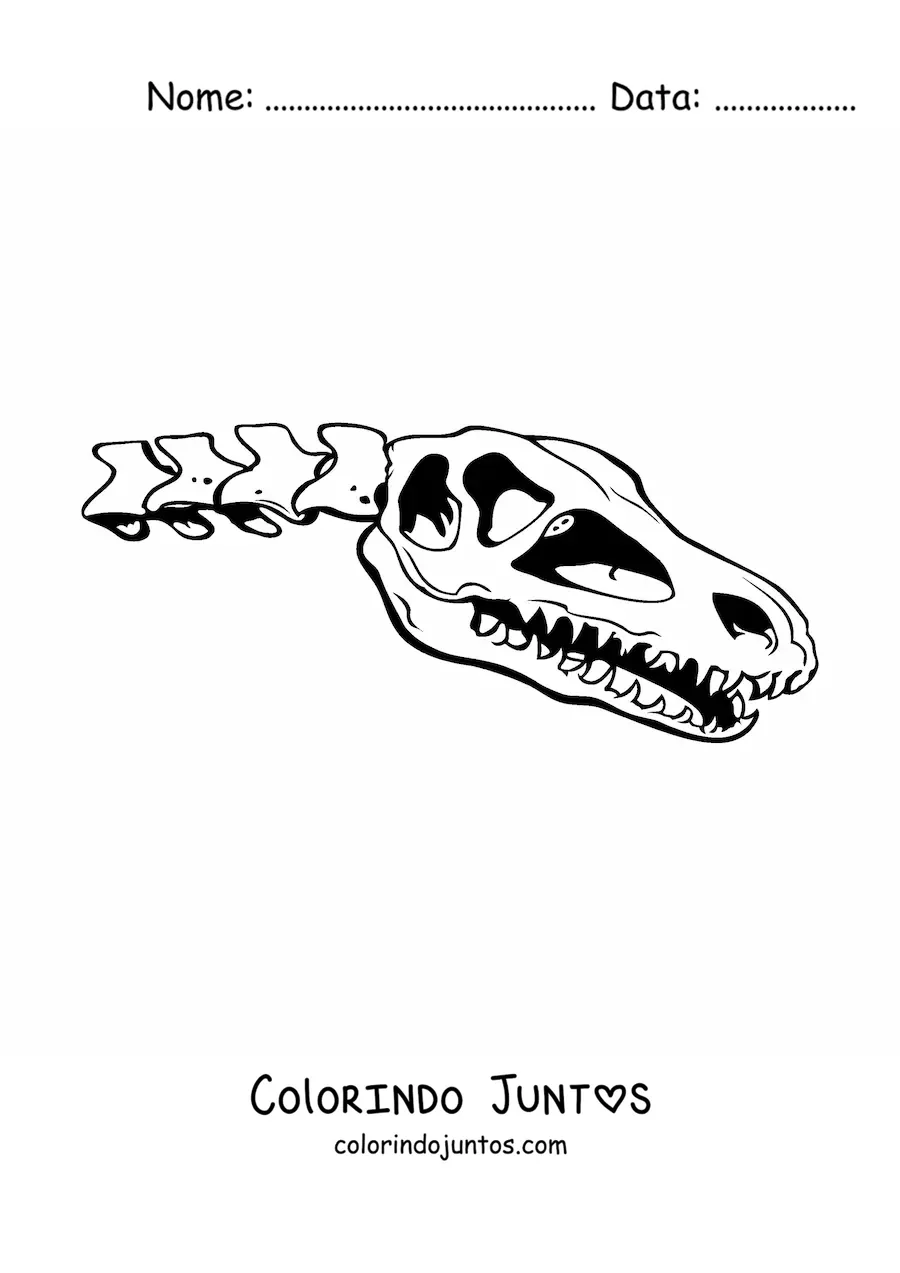 Desenho para colorir de crânio de um dinossauro