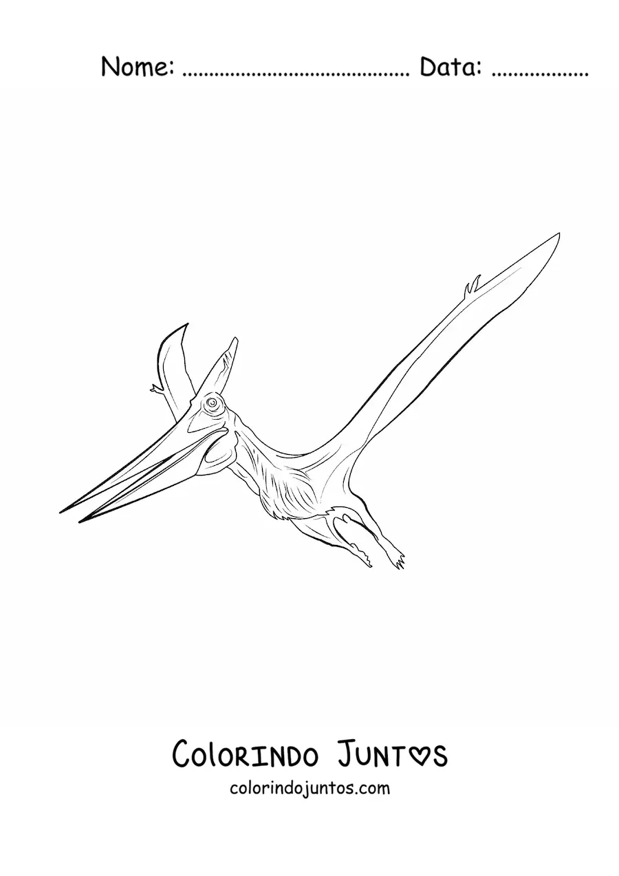 Desenho para colorir de pterodáctilo realista