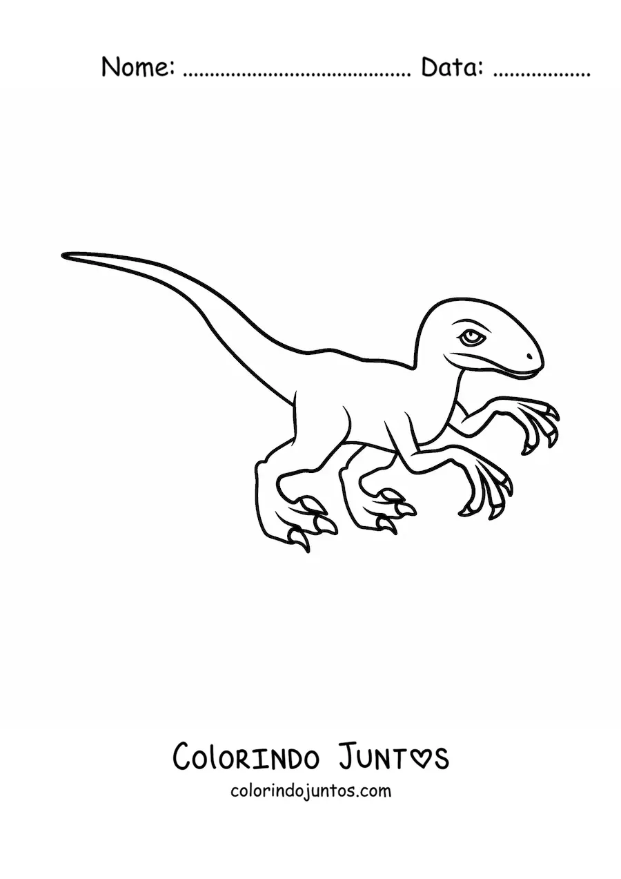 Desenho para colorir de velociraptor fácil