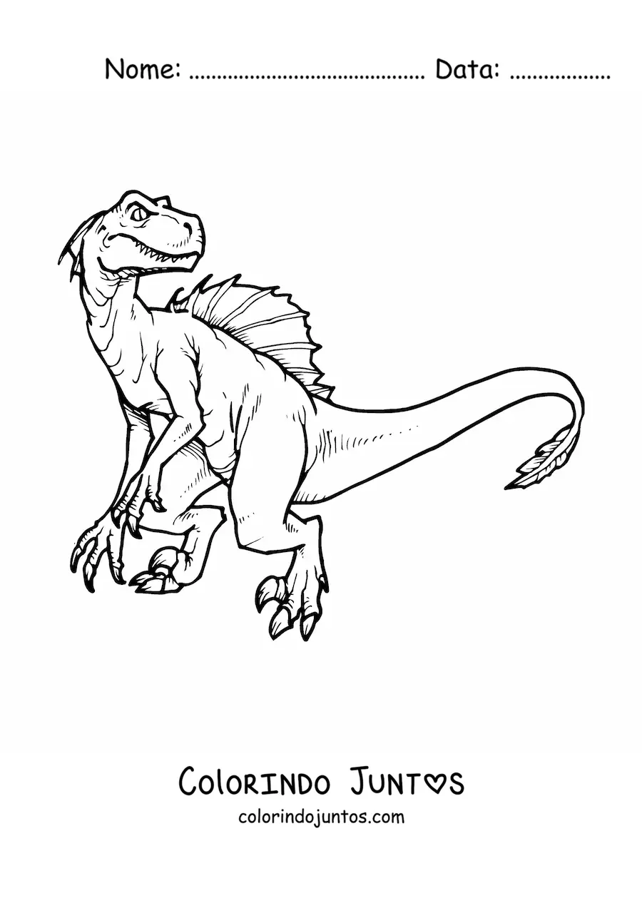Desenho para colorir de velociraptor grande