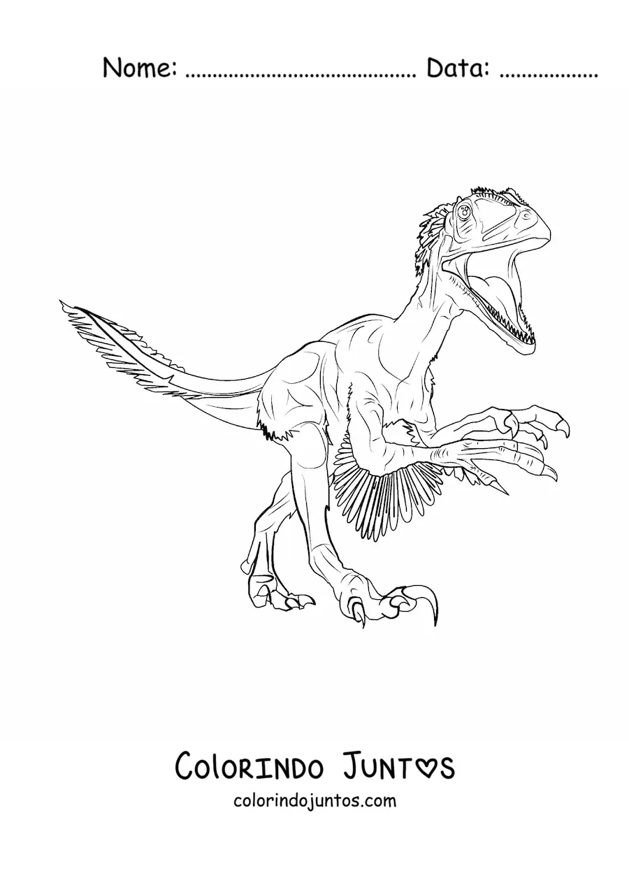 Desenho para colorir de deinonychus carnívoro