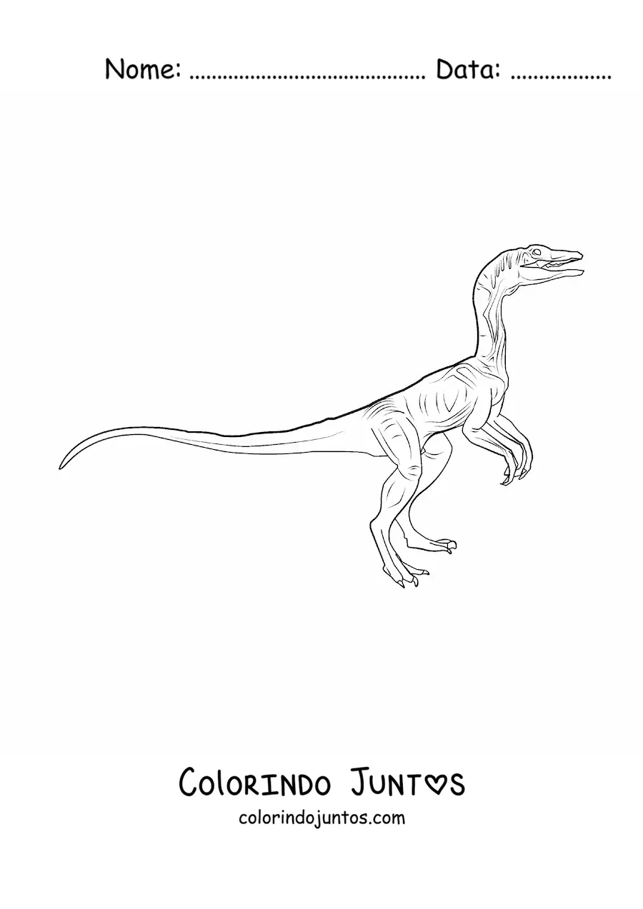 Desenho para colorir de dinossauro carnívoro pequeno realista