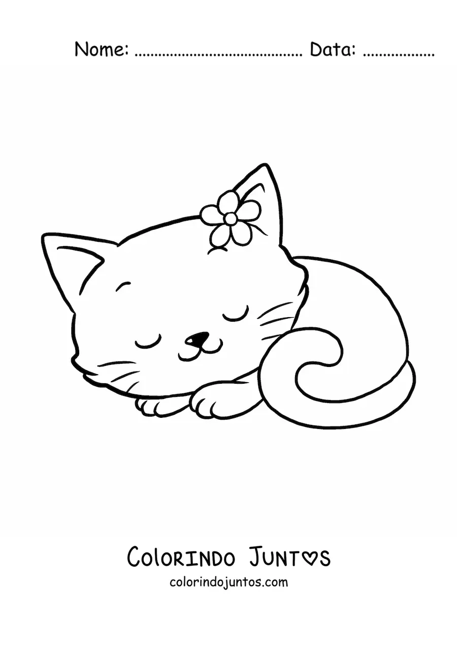 Desenho para colorir de gatinha kawaii grande com flor