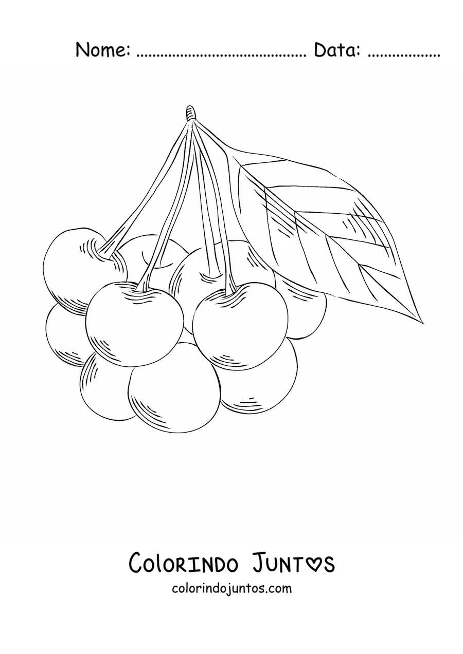 Desenho para colorir de um cacho de cerejas