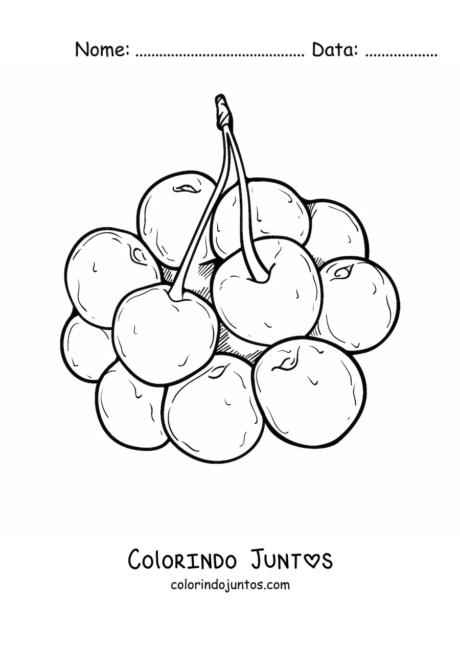 Desenho para colorir de um cacho de cerejas