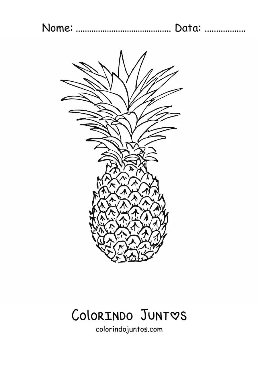Desenho para colorir de um abacaxi