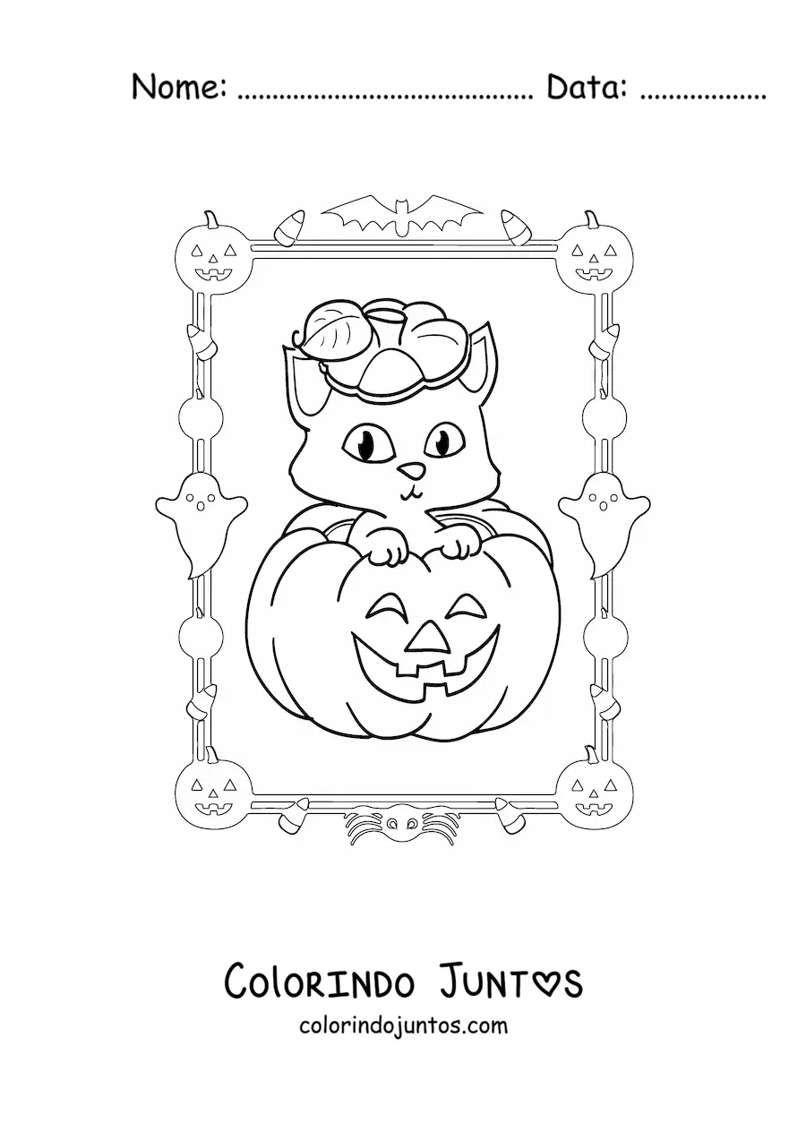 Desenho para colorir de abóbora de Halloween com gatinho