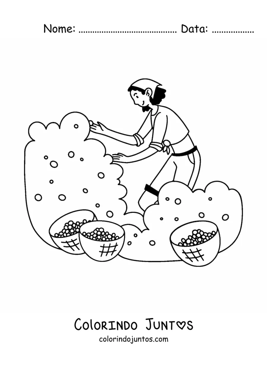 Desenho para colorir de menina colhendo frutos em uma plantação