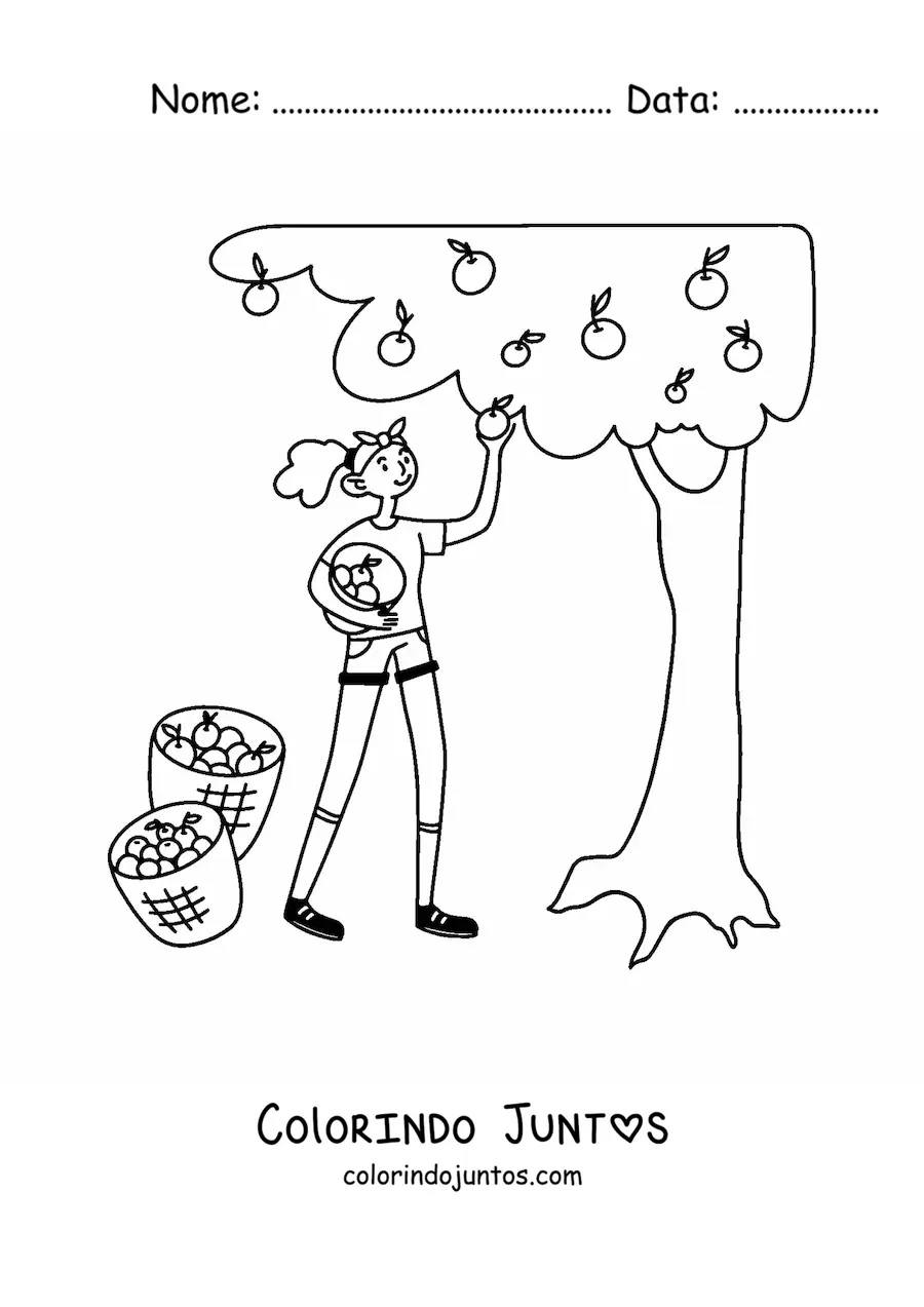 Desenho para colorir de menina colhendo maçãs de uma árvore