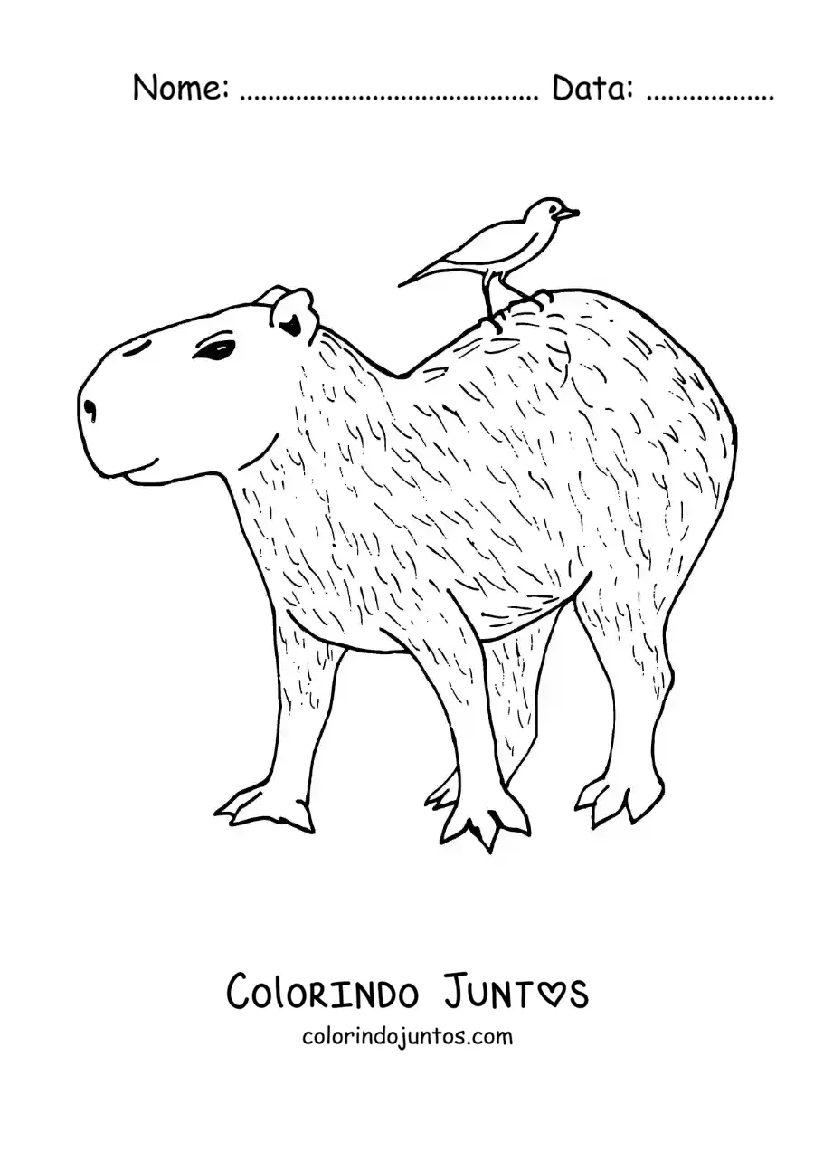 Desenho para colorir de capivara animada