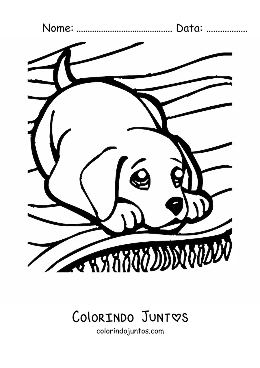Desenho para colorir de um filhote brincando