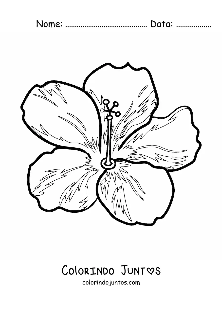 Desenho para colorir de flor havaiana grande