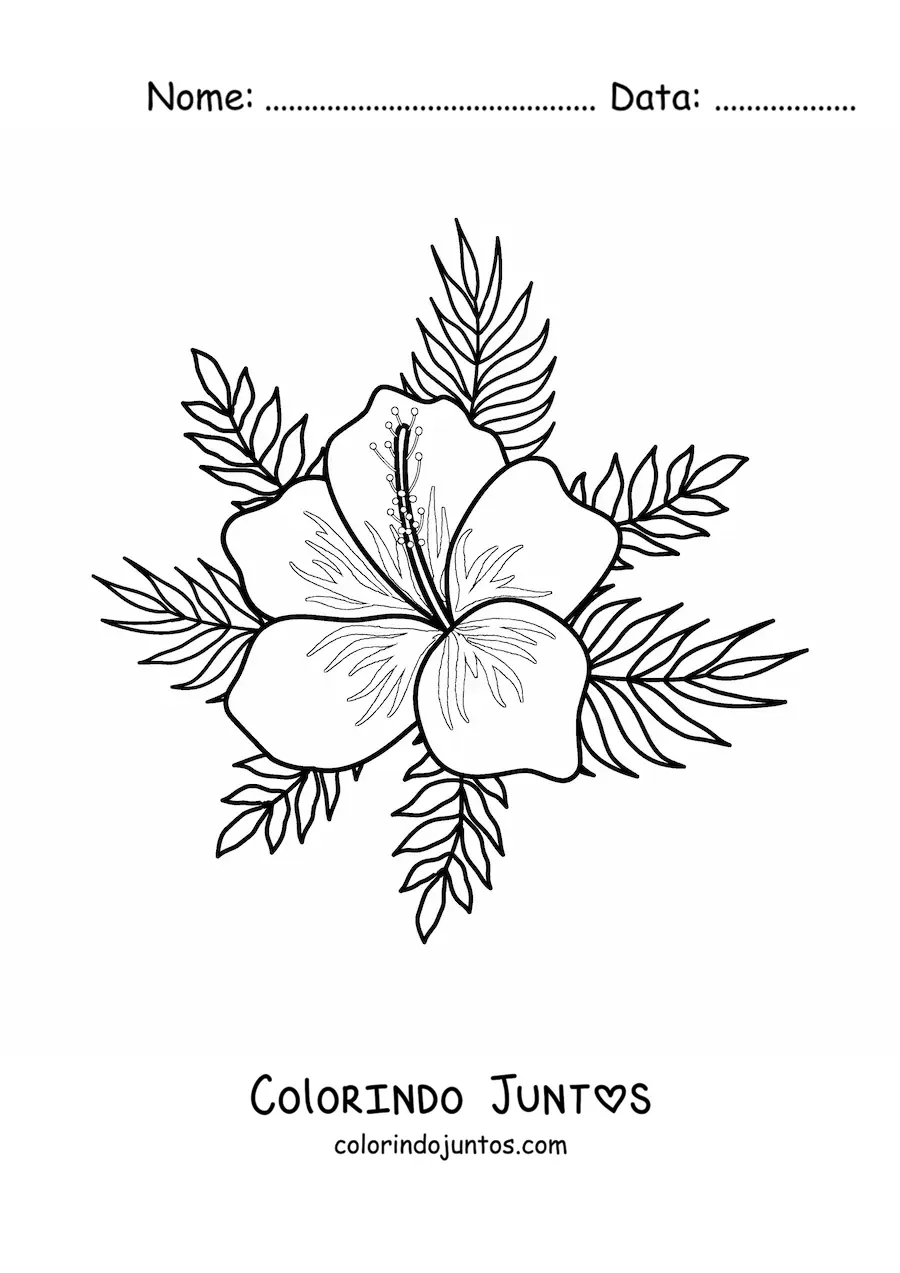 Desenho para colorir de flor havaiana fácil com folhas