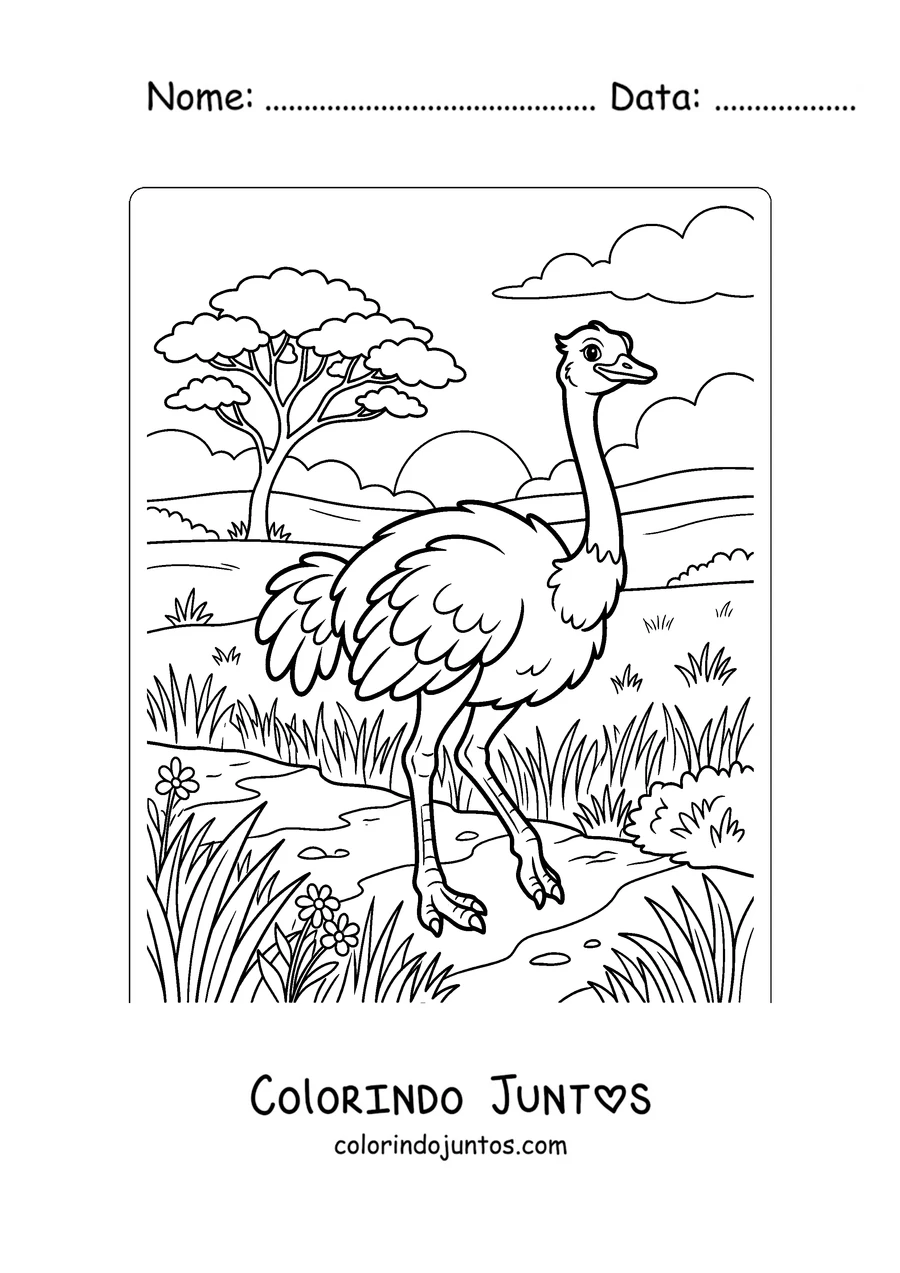Desenho para colorir de uma avestruz na savana africana