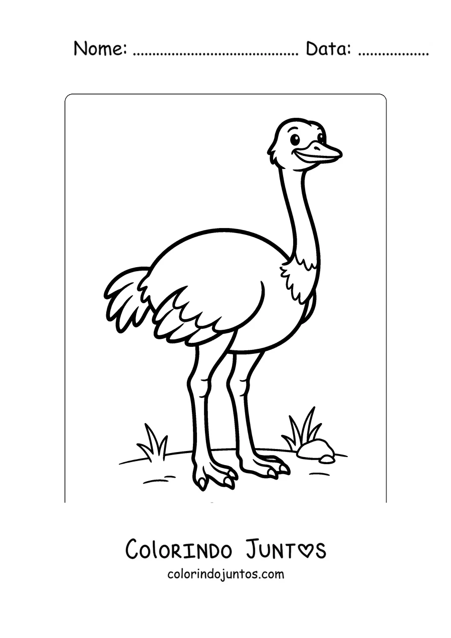 Desenho para colorir de uma avestruz simples para os pequenos