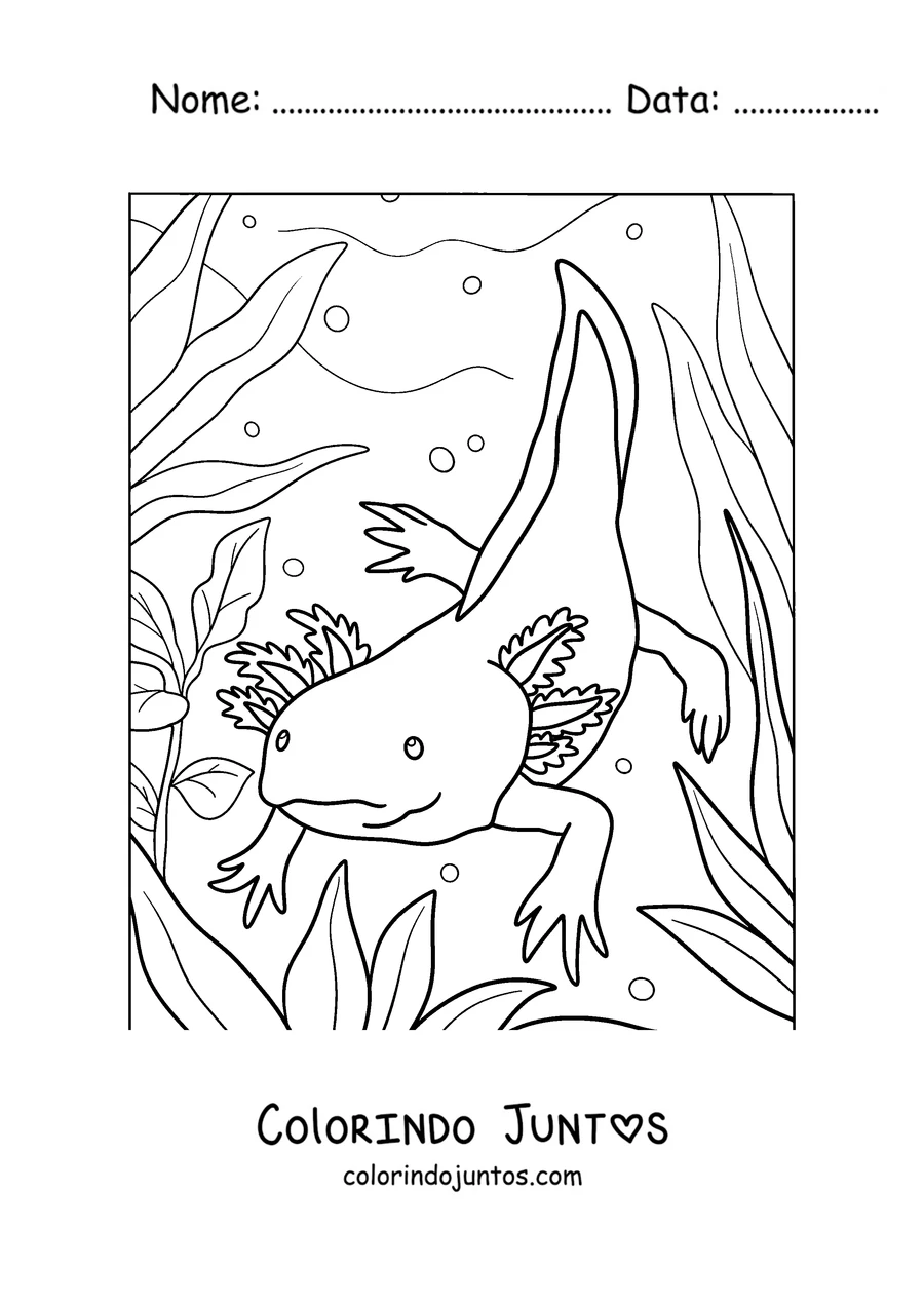 Desenho para colorir de um axolote adulto nadando entre algas altas