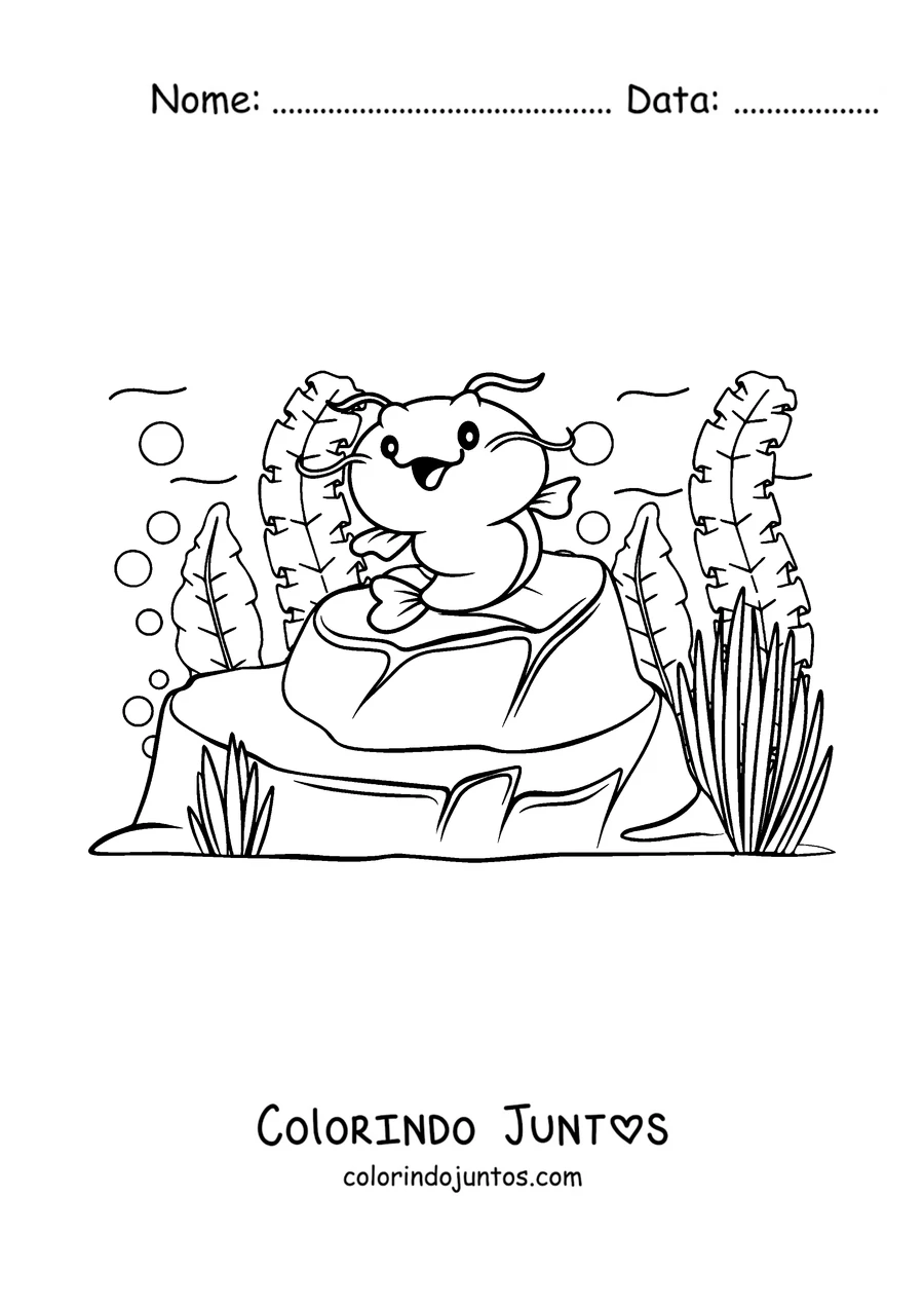Desenho para colorir de um bagre bebê sentado numa pedra
