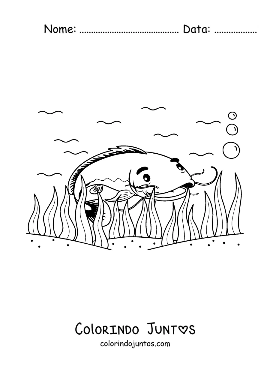 Desenho para colorir de um bagre nadando entre as algas