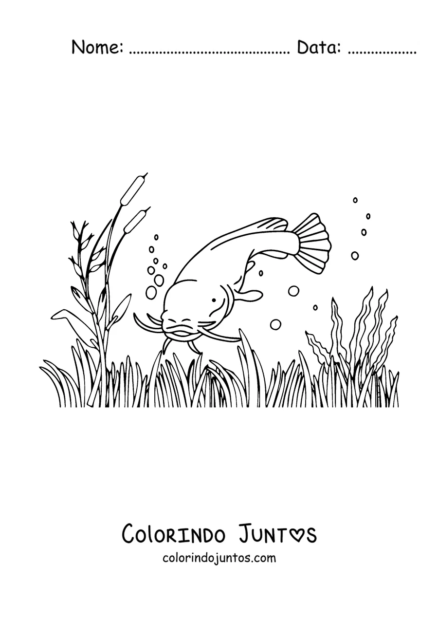 Desenho para colorir de um bagre nadando entre juncos