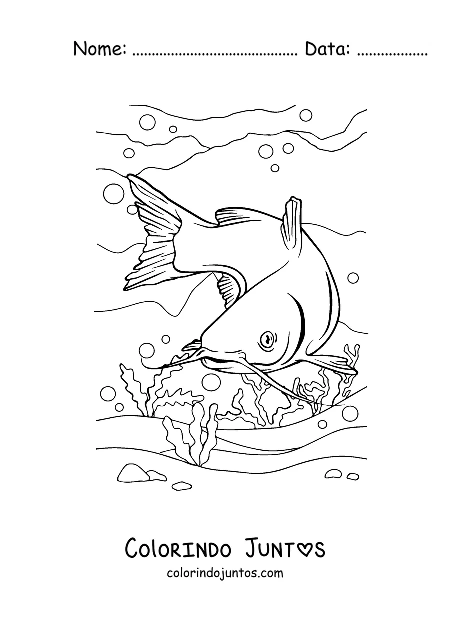 Desenho para colorir de um bagre mergulhando até o fundo