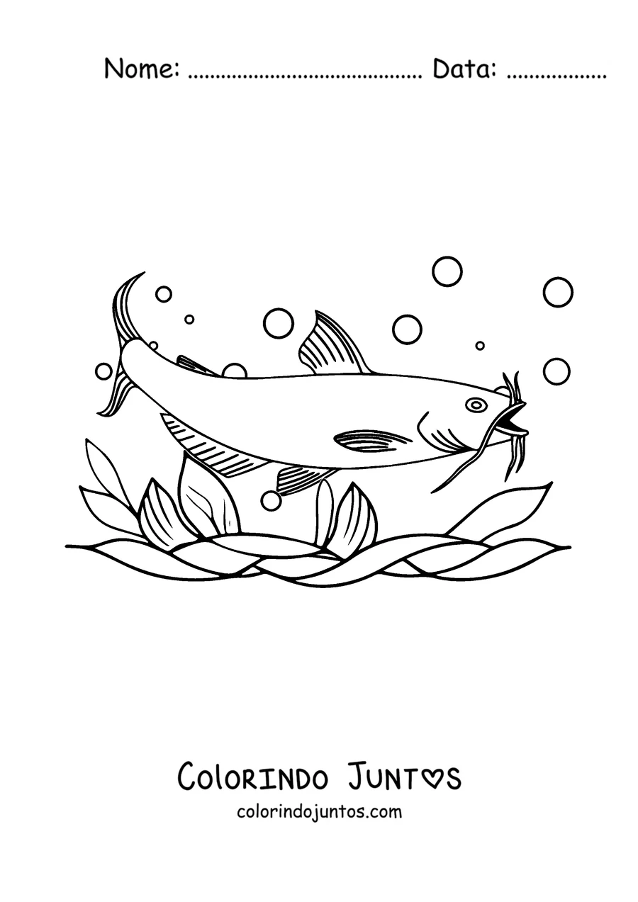 Desenho para colorir de um bagre de nadadeiras grandes entre bolhas