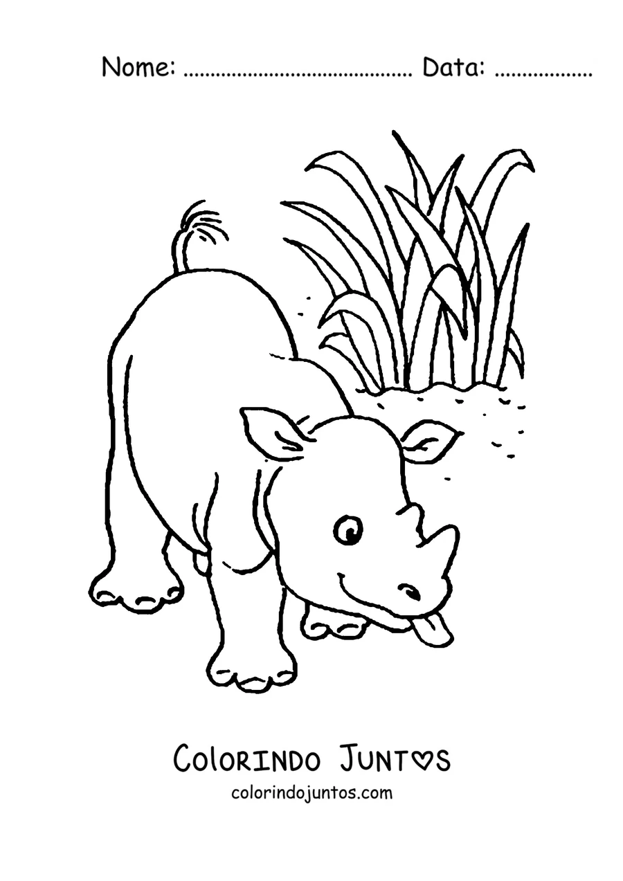 Desenho para colorir de um filhote de rinoceronte e a mãe comendo capim