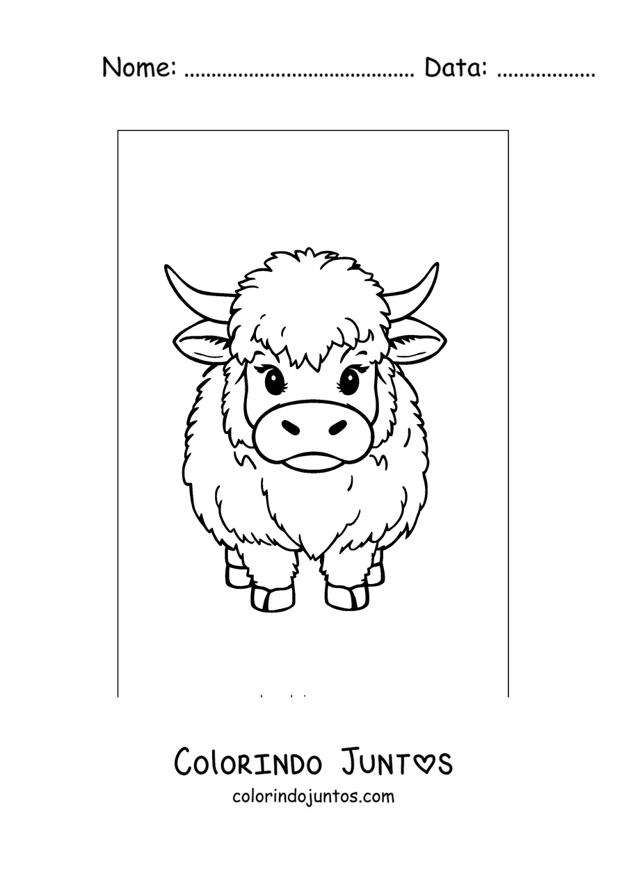 Desenho para colorir de bezerro highland fofinho