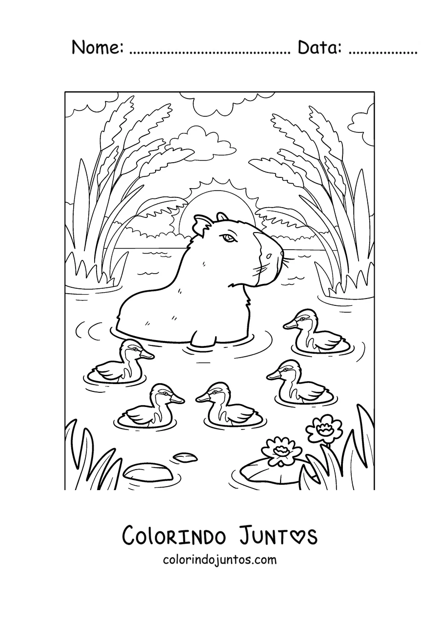 Desenho para colorir de uma capivara nadando com patinhos
