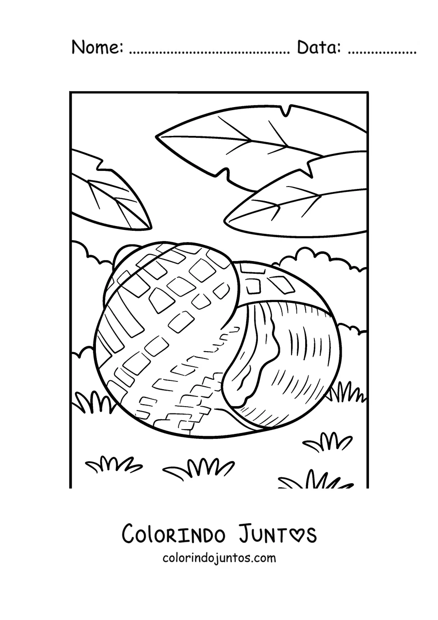 Desenho para colorir de um caracol escondido dentro da concha