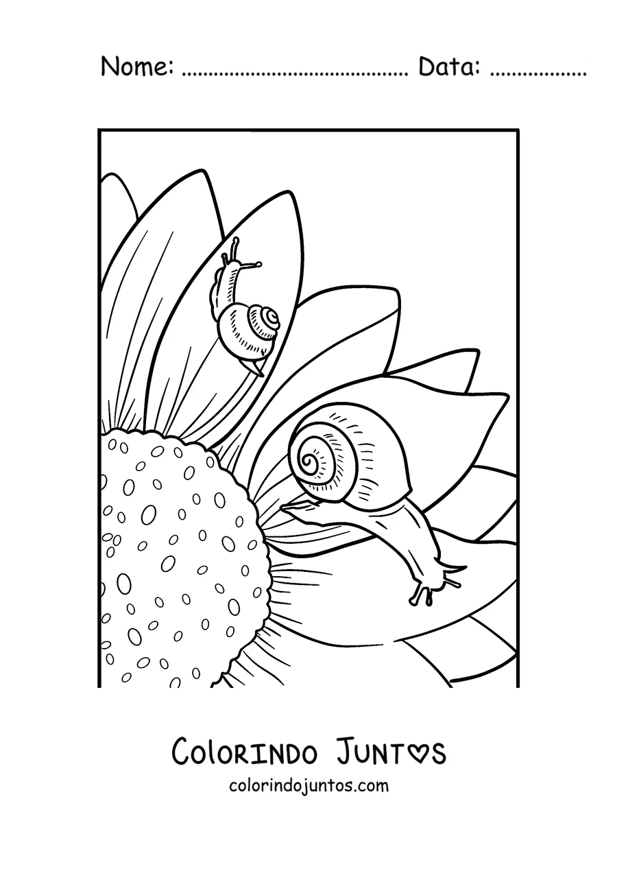 Desenho para colorir de um caracol subindo um girassol